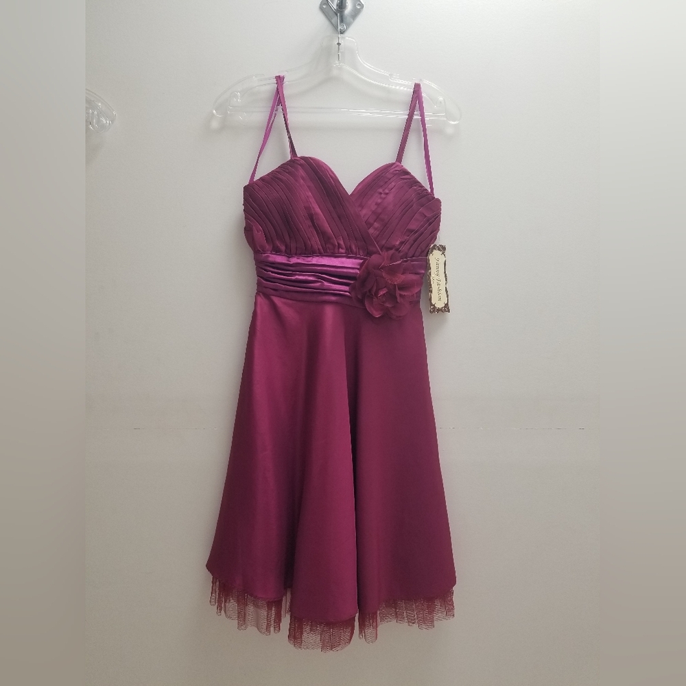 NWT Fanny Fashion above knee dress size XS Magenta